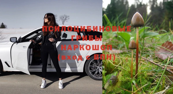 герыч Алексин