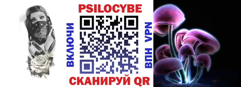 закладки  Богданович  Псилоцибиновые грибы Psilocybe 